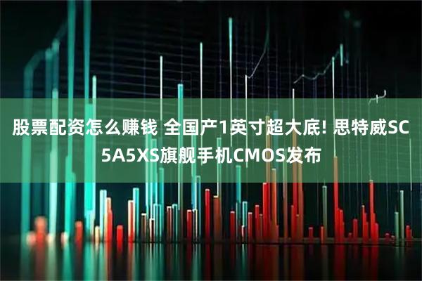 股票配资怎么赚钱 全国产1英寸超大底! 思特威SC5A5XS旗舰手机CMOS发布